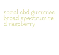 social cbd gummies broad spectrum red raspberry