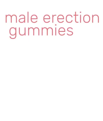male erection gummies