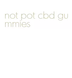 not pot cbd gummies