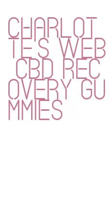 charlotte's web cbd recovery gummies