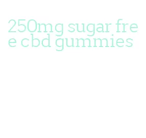 250mg sugar free cbd gummies