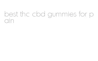 best thc cbd gummies for pain