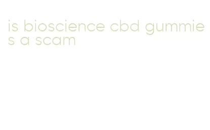 is bioscience cbd gummies a scam