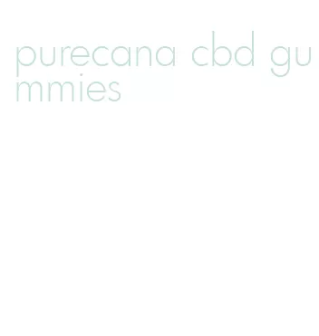purecana cbd gummies