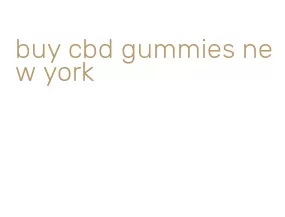 buy cbd gummies new york