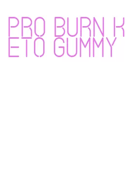 pro burn keto gummy