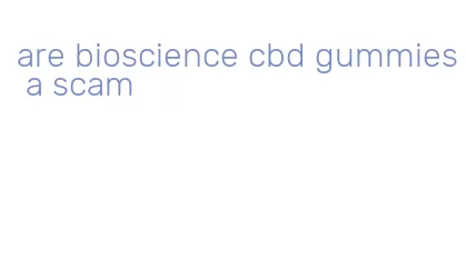 are bioscience cbd gummies a scam