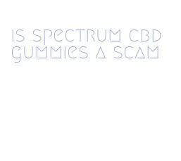 is spectrum cbd gummies a scam