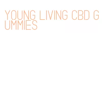 young living cbd gummies