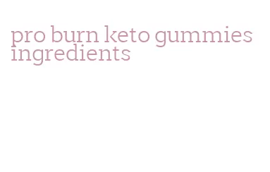 pro burn keto gummies ingredients