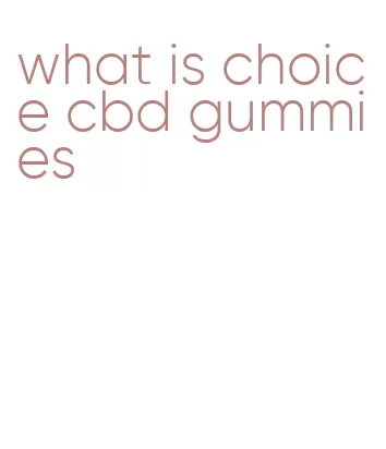 what is choice cbd gummies