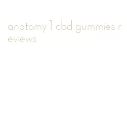 anatomy 1 cbd gummies reviews