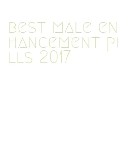 best male enhancement pills 2017