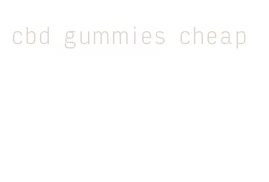 cbd gummies cheap