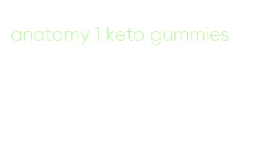 anatomy 1 keto gummies