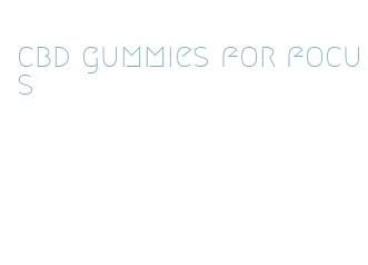 cbd gummies for focus