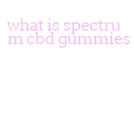 what is spectrum cbd gummies