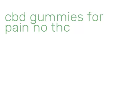 cbd gummies for pain no thc