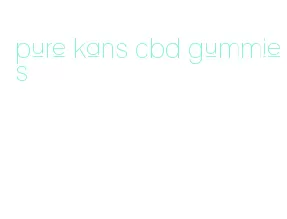 pure kans cbd gummies