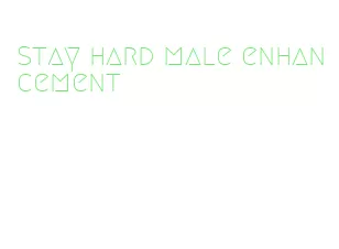 stay hard male enhancement