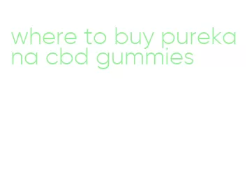 where to buy purekana cbd gummies