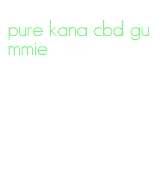 pure kana cbd gummie