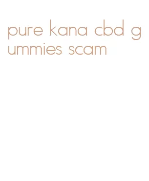 pure kana cbd gummies scam