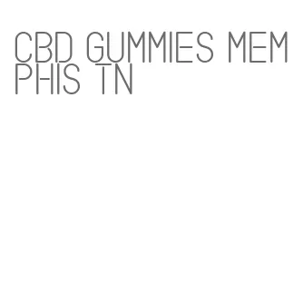 cbd gummies memphis tn