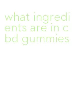 what ingredients are in cbd gummies