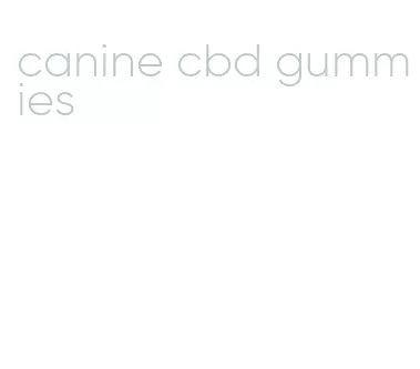 canine cbd gummies