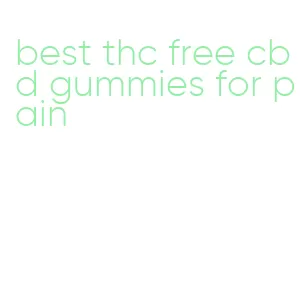 best thc free cbd gummies for pain