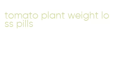 tomato plant weight loss pills