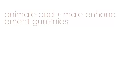 animale cbd + male enhancement gummies