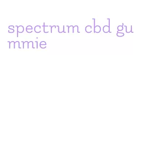 spectrum cbd gummie