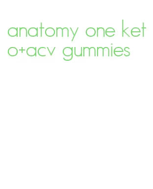 anatomy one keto+acv gummies