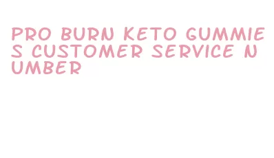 pro burn keto gummies customer service number