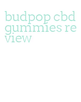 budpop cbd gummies review