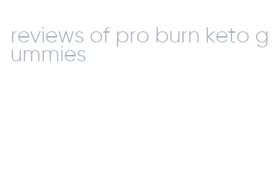 reviews of pro burn keto gummies