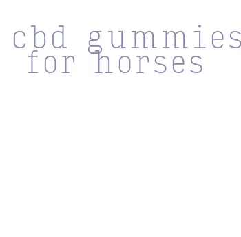 cbd gummies for horses