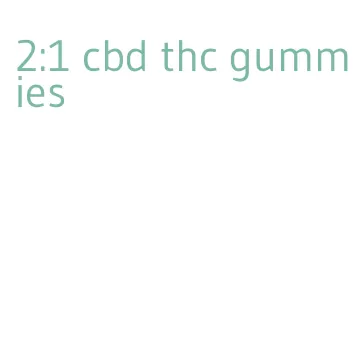 2:1 cbd thc gummies
