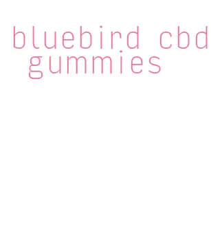bluebird cbd gummies