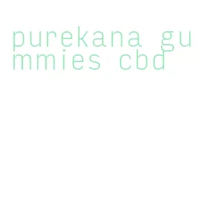 purekana gummies cbd