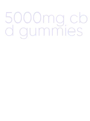 5000mg cbd gummies
