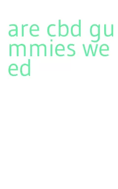 are cbd gummies weed