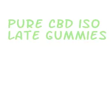 pure cbd isolate gummies