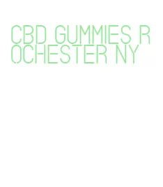 cbd gummies rochester ny
