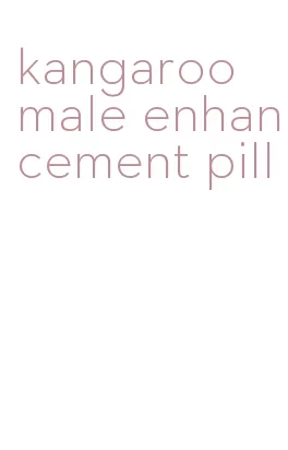 kangaroo male enhancement pill