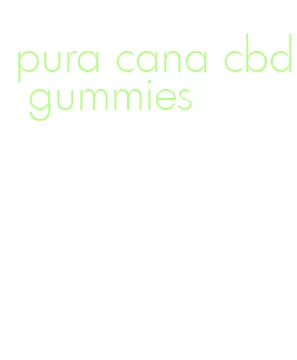 pura cana cbd gummies