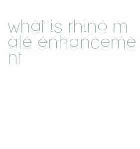 what is rhino male enhancement