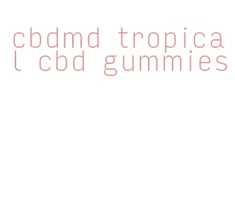 cbdmd tropical cbd gummies